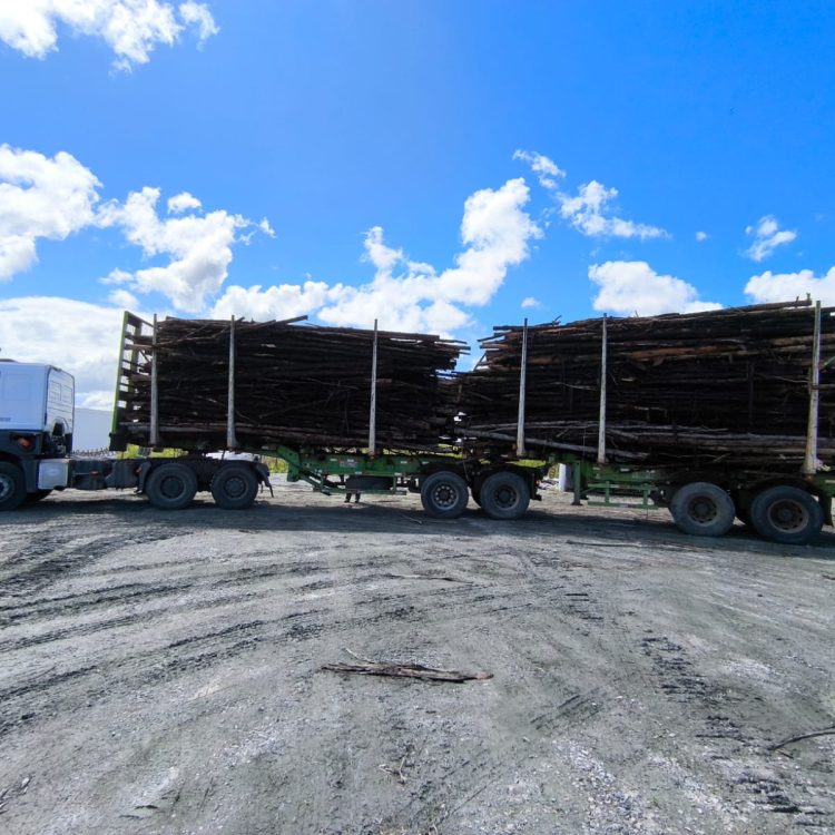 WhatsApp Image 2025-05-28 at 11.30.13