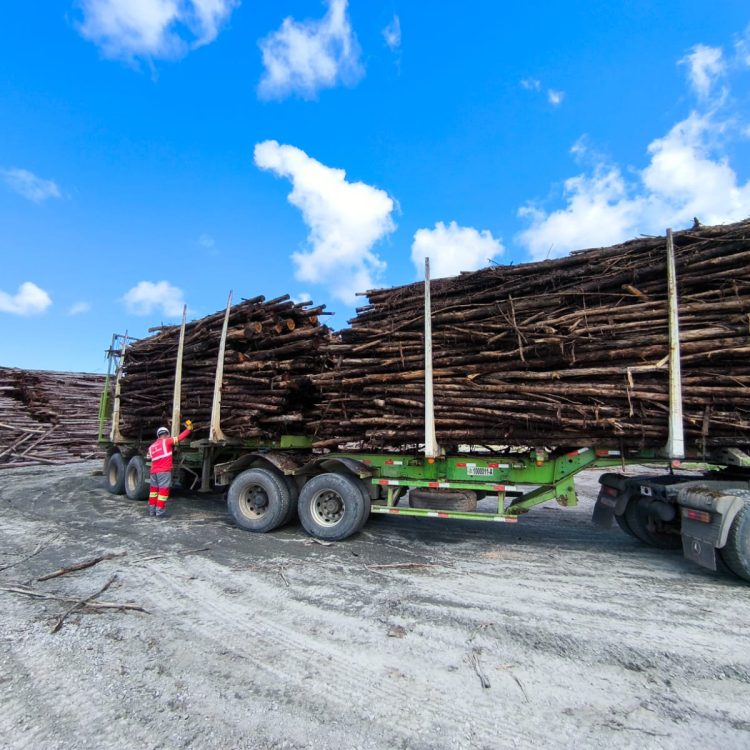 WhatsApp Image 2025-05-28 at 11.30.21